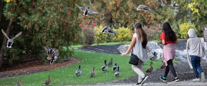 Greenfield A Center for Community